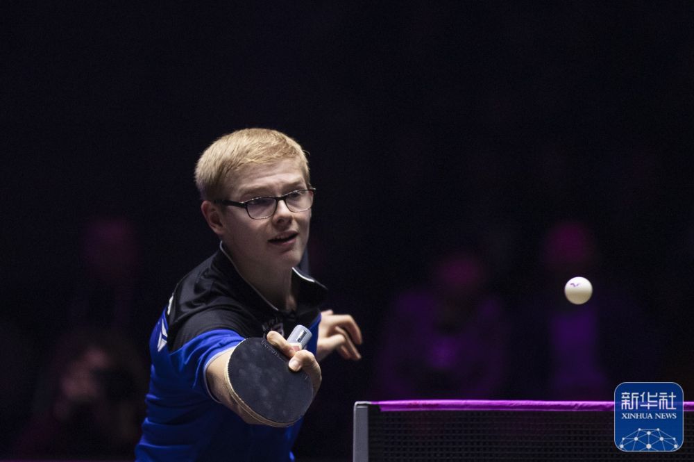 历史表现 历史表现