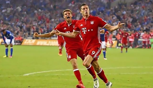 本稳定性的 本稳定性的